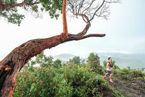 BIB: 
                            <button type="button" onclick="openModal(26510772)" class="btn btn-primary btn-sm float-right btn-popup" data-toggle="modal" data-target=".modal-high-quality">
                        <i class="fas fa-shopping-cart"></i> Add to Cart
                    </button>
                                            <button type="button" onclick="isThisMe(26510772, true)" class="btn btn-success btn-sm float-right btn-popup btn-isme hidden" data-toggle="tooltip" data-placement="bottom" title="นี่คือรูปของคุณใช่ไหม คลิกที่นี่เพื่อเอาเข้าอัลบั้ม">
                        <i class="fas fa-plus"></i> Add to album
                    </button>
                    <button type="button" onclick="isThisMe(26510772, false)" class="btn btn-warning btn-sm float-right btn-popup btn-isnotme hidden">
                        <i class="fas fa-ban"></i> Remove from album
                    </button>