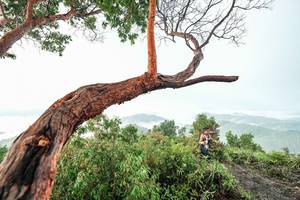 BIB: 
                            <button type="button" onclick="openModal(26510774)" class="btn btn-primary btn-sm float-right btn-popup" data-toggle="modal" data-target=".modal-high-quality">
                        <i class="fas fa-shopping-cart"></i> Add to Cart
                    </button>
                                            <button type="button" onclick="isThisMe(26510774, true)" class="btn btn-success btn-sm float-right btn-popup btn-isme hidden" data-toggle="tooltip" data-placement="bottom" title="นี่คือรูปของคุณใช่ไหม คลิกที่นี่เพื่อเอาเข้าอัลบั้ม">
                        <i class="fas fa-plus"></i> Add to album
                    </button>
                    <button type="button" onclick="isThisMe(26510774, false)" class="btn btn-warning btn-sm float-right btn-popup btn-isnotme hidden">
                        <i class="fas fa-ban"></i> Remove from album
                    </button>