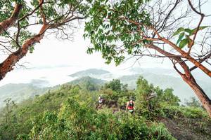 BIB: 
                            <button type="button" onclick="openModal(26510854)" class="btn btn-primary btn-sm float-right btn-popup" data-toggle="modal" data-target=".modal-high-quality">
                        <i class="fas fa-shopping-cart"></i> Add to Cart
                    </button>
                                            <button type="button" onclick="isThisMe(26510854, true)" class="btn btn-success btn-sm float-right btn-popup btn-isme hidden" data-toggle="tooltip" data-placement="bottom" title="นี่คือรูปของคุณใช่ไหม คลิกที่นี่เพื่อเอาเข้าอัลบั้ม">
                        <i class="fas fa-plus"></i> Add to album
                    </button>
                    <button type="button" onclick="isThisMe(26510854, false)" class="btn btn-warning btn-sm float-right btn-popup btn-isnotme hidden">
                        <i class="fas fa-ban"></i> Remove from album
                    </button>