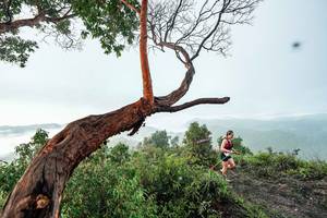 BIB: 
                            <button type="button" onclick="openModal(26510746)" class="btn btn-primary btn-sm float-right btn-popup" data-toggle="modal" data-target=".modal-high-quality">
                        <i class="fas fa-shopping-cart"></i> Add to Cart
                    </button>
                                            <button type="button" onclick="isThisMe(26510746, true)" class="btn btn-success btn-sm float-right btn-popup btn-isme hidden" data-toggle="tooltip" data-placement="bottom" title="นี่คือรูปของคุณใช่ไหม คลิกที่นี่เพื่อเอาเข้าอัลบั้ม">
                        <i class="fas fa-plus"></i> Add to album
                    </button>
                    <button type="button" onclick="isThisMe(26510746, false)" class="btn btn-warning btn-sm float-right btn-popup btn-isnotme hidden">
                        <i class="fas fa-ban"></i> Remove from album
                    </button>