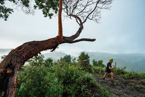 BIB: 
                            <button type="button" onclick="openModal(26510734)" class="btn btn-primary btn-sm float-right btn-popup" data-toggle="modal" data-target=".modal-high-quality">
                        <i class="fas fa-shopping-cart"></i> Add to Cart
                    </button>
                                            <button type="button" onclick="isThisMe(26510734, true)" class="btn btn-success btn-sm float-right btn-popup btn-isme hidden" data-toggle="tooltip" data-placement="bottom" title="นี่คือรูปของคุณใช่ไหม คลิกที่นี่เพื่อเอาเข้าอัลบั้ม">
                        <i class="fas fa-plus"></i> Add to album
                    </button>
                    <button type="button" onclick="isThisMe(26510734, false)" class="btn btn-warning btn-sm float-right btn-popup btn-isnotme hidden">
                        <i class="fas fa-ban"></i> Remove from album
                    </button>