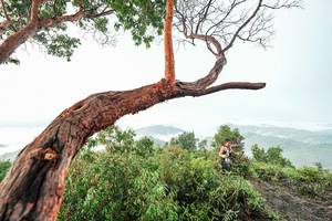 BIB: 
                            <button type="button" onclick="openModal(26510771)" class="btn btn-primary btn-sm float-right btn-popup" data-toggle="modal" data-target=".modal-high-quality">
                        <i class="fas fa-shopping-cart"></i> Add to Cart
                    </button>
                                            <button type="button" onclick="isThisMe(26510771, true)" class="btn btn-success btn-sm float-right btn-popup btn-isme hidden" data-toggle="tooltip" data-placement="bottom" title="นี่คือรูปของคุณใช่ไหม คลิกที่นี่เพื่อเอาเข้าอัลบั้ม">
                        <i class="fas fa-plus"></i> Add to album
                    </button>
                    <button type="button" onclick="isThisMe(26510771, false)" class="btn btn-warning btn-sm float-right btn-popup btn-isnotme hidden">
                        <i class="fas fa-ban"></i> Remove from album
                    </button>