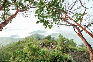 BIB: 
                            <button type="button" onclick="openModal(26510844)" class="btn btn-primary btn-sm float-right btn-popup" data-toggle="modal" data-target=".modal-high-quality">
                        <i class="fas fa-shopping-cart"></i> Add to Cart
                    </button>
                                            <button type="button" onclick="isThisMe(26510844, true)" class="btn btn-success btn-sm float-right btn-popup btn-isme hidden" data-toggle="tooltip" data-placement="bottom" title="นี่คือรูปของคุณใช่ไหม คลิกที่นี่เพื่อเอาเข้าอัลบั้ม">
                        <i class="fas fa-plus"></i> Add to album
                    </button>
                    <button type="button" onclick="isThisMe(26510844, false)" class="btn btn-warning btn-sm float-right btn-popup btn-isnotme hidden">
                        <i class="fas fa-ban"></i> Remove from album
                    </button>