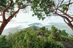 BIB: 
                            <button type="button" onclick="openModal(26510868)" class="btn btn-primary btn-sm float-right btn-popup" data-toggle="modal" data-target=".modal-high-quality">
                        <i class="fas fa-shopping-cart"></i> Add to Cart
                    </button>
                                            <button type="button" onclick="isThisMe(26510868, true)" class="btn btn-success btn-sm float-right btn-popup btn-isme hidden" data-toggle="tooltip" data-placement="bottom" title="นี่คือรูปของคุณใช่ไหม คลิกที่นี่เพื่อเอาเข้าอัลบั้ม">
                        <i class="fas fa-plus"></i> Add to album
                    </button>
                    <button type="button" onclick="isThisMe(26510868, false)" class="btn btn-warning btn-sm float-right btn-popup btn-isnotme hidden">
                        <i class="fas fa-ban"></i> Remove from album
                    </button>