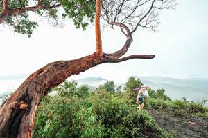 BIB: 
                            <button type="button" onclick="openModal(26510789)" class="btn btn-primary btn-sm float-right btn-popup" data-toggle="modal" data-target=".modal-high-quality">
                        <i class="fas fa-shopping-cart"></i> Add to Cart
                    </button>
                                            <button type="button" onclick="isThisMe(26510789, true)" class="btn btn-success btn-sm float-right btn-popup btn-isme hidden" data-toggle="tooltip" data-placement="bottom" title="นี่คือรูปของคุณใช่ไหม คลิกที่นี่เพื่อเอาเข้าอัลบั้ม">
                        <i class="fas fa-plus"></i> Add to album
                    </button>
                    <button type="button" onclick="isThisMe(26510789, false)" class="btn btn-warning btn-sm float-right btn-popup btn-isnotme hidden">
                        <i class="fas fa-ban"></i> Remove from album
                    </button>