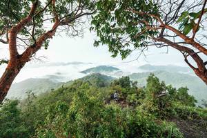 BIB: 
                            <button type="button" onclick="openModal(26510867)" class="btn btn-primary btn-sm float-right btn-popup" data-toggle="modal" data-target=".modal-high-quality">
                        <i class="fas fa-shopping-cart"></i> Add to Cart
                    </button>
                                            <button type="button" onclick="isThisMe(26510867, true)" class="btn btn-success btn-sm float-right btn-popup btn-isme hidden" data-toggle="tooltip" data-placement="bottom" title="นี่คือรูปของคุณใช่ไหม คลิกที่นี่เพื่อเอาเข้าอัลบั้ม">
                        <i class="fas fa-plus"></i> Add to album
                    </button>
                    <button type="button" onclick="isThisMe(26510867, false)" class="btn btn-warning btn-sm float-right btn-popup btn-isnotme hidden">
                        <i class="fas fa-ban"></i> Remove from album
                    </button>