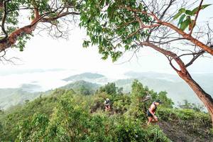 BIB: 
                            <button type="button" onclick="openModal(26510857)" class="btn btn-primary btn-sm float-right btn-popup" data-toggle="modal" data-target=".modal-high-quality">
                        <i class="fas fa-shopping-cart"></i> Add to Cart
                    </button>
                                            <button type="button" onclick="isThisMe(26510857, true)" class="btn btn-success btn-sm float-right btn-popup btn-isme hidden" data-toggle="tooltip" data-placement="bottom" title="นี่คือรูปของคุณใช่ไหม คลิกที่นี่เพื่อเอาเข้าอัลบั้ม">
                        <i class="fas fa-plus"></i> Add to album
                    </button>
                    <button type="button" onclick="isThisMe(26510857, false)" class="btn btn-warning btn-sm float-right btn-popup btn-isnotme hidden">
                        <i class="fas fa-ban"></i> Remove from album
                    </button>