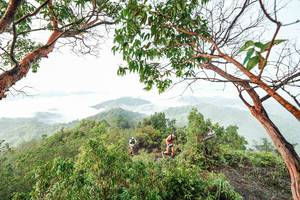 BIB: 
                            <button type="button" onclick="openModal(26510845)" class="btn btn-primary btn-sm float-right btn-popup" data-toggle="modal" data-target=".modal-high-quality">
                        <i class="fas fa-shopping-cart"></i> Add to Cart
                    </button>
                                            <button type="button" onclick="isThisMe(26510845, true)" class="btn btn-success btn-sm float-right btn-popup btn-isme hidden" data-toggle="tooltip" data-placement="bottom" title="นี่คือรูปของคุณใช่ไหม คลิกที่นี่เพื่อเอาเข้าอัลบั้ม">
                        <i class="fas fa-plus"></i> Add to album
                    </button>
                    <button type="button" onclick="isThisMe(26510845, false)" class="btn btn-warning btn-sm float-right btn-popup btn-isnotme hidden">
                        <i class="fas fa-ban"></i> Remove from album
                    </button>