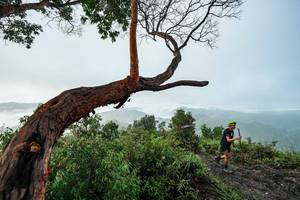 BIB: 
                            <button type="button" onclick="openModal(26510730)" class="btn btn-primary btn-sm float-right btn-popup" data-toggle="modal" data-target=".modal-high-quality">
                        <i class="fas fa-shopping-cart"></i> Add to Cart
                    </button>
                                            <button type="button" onclick="isThisMe(26510730, true)" class="btn btn-success btn-sm float-right btn-popup btn-isme hidden" data-toggle="tooltip" data-placement="bottom" title="นี่คือรูปของคุณใช่ไหม คลิกที่นี่เพื่อเอาเข้าอัลบั้ม">
                        <i class="fas fa-plus"></i> Add to album
                    </button>
                    <button type="button" onclick="isThisMe(26510730, false)" class="btn btn-warning btn-sm float-right btn-popup btn-isnotme hidden">
                        <i class="fas fa-ban"></i> Remove from album
                    </button>