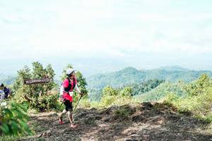 BIB: 
                            <button type="button" onclick="openModal(26521445)" class="btn btn-primary btn-sm float-right btn-popup" data-toggle="modal" data-target=".modal-high-quality">
                        <i class="fas fa-shopping-cart"></i> Add to Cart
                    </button>
                                            <button type="button" onclick="isThisMe(26521445, true)" class="btn btn-success btn-sm float-right btn-popup btn-isme hidden" data-toggle="tooltip" data-placement="bottom" title="นี่คือรูปของคุณใช่ไหม คลิกที่นี่เพื่อเอาเข้าอัลบั้ม">
                        <i class="fas fa-plus"></i> Add to album
                    </button>
                    <button type="button" onclick="isThisMe(26521445, false)" class="btn btn-warning btn-sm float-right btn-popup btn-isnotme hidden">
                        <i class="fas fa-ban"></i> Remove from album
                    </button>