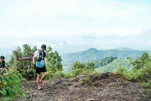 BIB: 
                            <button type="button" onclick="openModal(26520629)" class="btn btn-primary btn-sm float-right btn-popup" data-toggle="modal" data-target=".modal-high-quality">
                        <i class="fas fa-shopping-cart"></i> Add to Cart
                    </button>
                                            <button type="button" onclick="isThisMe(26520629, true)" class="btn btn-success btn-sm float-right btn-popup btn-isme hidden" data-toggle="tooltip" data-placement="bottom" title="นี่คือรูปของคุณใช่ไหม คลิกที่นี่เพื่อเอาเข้าอัลบั้ม">
                        <i class="fas fa-plus"></i> Add to album
                    </button>
                    <button type="button" onclick="isThisMe(26520629, false)" class="btn btn-warning btn-sm float-right btn-popup btn-isnotme hidden">
                        <i class="fas fa-ban"></i> Remove from album
                    </button>