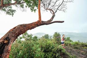 BIB: 
                            <button type="button" onclick="openModal(26510766)" class="btn btn-primary btn-sm float-right btn-popup" data-toggle="modal" data-target=".modal-high-quality">
                        <i class="fas fa-shopping-cart"></i> Add to Cart
                    </button>
                                            <button type="button" onclick="isThisMe(26510766, true)" class="btn btn-success btn-sm float-right btn-popup btn-isme hidden" data-toggle="tooltip" data-placement="bottom" title="นี่คือรูปของคุณใช่ไหม คลิกที่นี่เพื่อเอาเข้าอัลบั้ม">
                        <i class="fas fa-plus"></i> Add to album
                    </button>
                    <button type="button" onclick="isThisMe(26510766, false)" class="btn btn-warning btn-sm float-right btn-popup btn-isnotme hidden">
                        <i class="fas fa-ban"></i> Remove from album
                    </button>