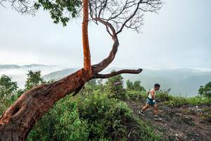 BIB: 
                            <button type="button" onclick="openModal(26510748)" class="btn btn-primary btn-sm float-right btn-popup" data-toggle="modal" data-target=".modal-high-quality">
                        <i class="fas fa-shopping-cart"></i> Add to Cart
                    </button>
                                            <button type="button" onclick="isThisMe(26510748, true)" class="btn btn-success btn-sm float-right btn-popup btn-isme hidden" data-toggle="tooltip" data-placement="bottom" title="นี่คือรูปของคุณใช่ไหม คลิกที่นี่เพื่อเอาเข้าอัลบั้ม">
                        <i class="fas fa-plus"></i> Add to album
                    </button>
                    <button type="button" onclick="isThisMe(26510748, false)" class="btn btn-warning btn-sm float-right btn-popup btn-isnotme hidden">
                        <i class="fas fa-ban"></i> Remove from album
                    </button>