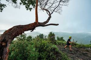 BIB: 
                            <button type="button" onclick="openModal(26510736)" class="btn btn-primary btn-sm float-right btn-popup" data-toggle="modal" data-target=".modal-high-quality">
                        <i class="fas fa-shopping-cart"></i> Add to Cart
                    </button>
                                            <button type="button" onclick="isThisMe(26510736, true)" class="btn btn-success btn-sm float-right btn-popup btn-isme hidden" data-toggle="tooltip" data-placement="bottom" title="นี่คือรูปของคุณใช่ไหม คลิกที่นี่เพื่อเอาเข้าอัลบั้ม">
                        <i class="fas fa-plus"></i> Add to album
                    </button>
                    <button type="button" onclick="isThisMe(26510736, false)" class="btn btn-warning btn-sm float-right btn-popup btn-isnotme hidden">
                        <i class="fas fa-ban"></i> Remove from album
                    </button>