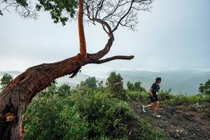 BIB: 
                            <button type="button" onclick="openModal(26510741)" class="btn btn-primary btn-sm float-right btn-popup" data-toggle="modal" data-target=".modal-high-quality">
                        <i class="fas fa-shopping-cart"></i> Add to Cart
                    </button>
                                            <button type="button" onclick="isThisMe(26510741, true)" class="btn btn-success btn-sm float-right btn-popup btn-isme hidden" data-toggle="tooltip" data-placement="bottom" title="นี่คือรูปของคุณใช่ไหม คลิกที่นี่เพื่อเอาเข้าอัลบั้ม">
                        <i class="fas fa-plus"></i> Add to album
                    </button>
                    <button type="button" onclick="isThisMe(26510741, false)" class="btn btn-warning btn-sm float-right btn-popup btn-isnotme hidden">
                        <i class="fas fa-ban"></i> Remove from album
                    </button>