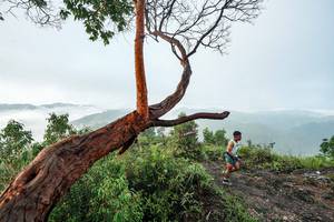 BIB: 
                            <button type="button" onclick="openModal(26510745)" class="btn btn-primary btn-sm float-right btn-popup" data-toggle="modal" data-target=".modal-high-quality">
                        <i class="fas fa-shopping-cart"></i> Add to Cart
                    </button>
                                            <button type="button" onclick="isThisMe(26510745, true)" class="btn btn-success btn-sm float-right btn-popup btn-isme hidden" data-toggle="tooltip" data-placement="bottom" title="นี่คือรูปของคุณใช่ไหม คลิกที่นี่เพื่อเอาเข้าอัลบั้ม">
                        <i class="fas fa-plus"></i> Add to album
                    </button>
                    <button type="button" onclick="isThisMe(26510745, false)" class="btn btn-warning btn-sm float-right btn-popup btn-isnotme hidden">
                        <i class="fas fa-ban"></i> Remove from album
                    </button>