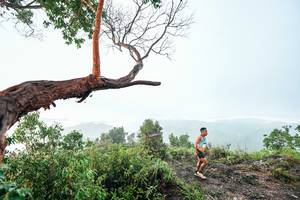 BIB: 
                            <button type="button" onclick="openModal(26510709)" class="btn btn-primary btn-sm float-right btn-popup" data-toggle="modal" data-target=".modal-high-quality">
                        <i class="fas fa-shopping-cart"></i> Add to Cart
                    </button>
                                            <button type="button" onclick="isThisMe(26510709, true)" class="btn btn-success btn-sm float-right btn-popup btn-isme hidden" data-toggle="tooltip" data-placement="bottom" title="นี่คือรูปของคุณใช่ไหม คลิกที่นี่เพื่อเอาเข้าอัลบั้ม">
                        <i class="fas fa-plus"></i> Add to album
                    </button>
                    <button type="button" onclick="isThisMe(26510709, false)" class="btn btn-warning btn-sm float-right btn-popup btn-isnotme hidden">
                        <i class="fas fa-ban"></i> Remove from album
                    </button>