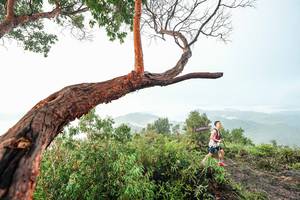 BIB: 
                            <button type="button" onclick="openModal(26510765)" class="btn btn-primary btn-sm float-right btn-popup" data-toggle="modal" data-target=".modal-high-quality">
                        <i class="fas fa-shopping-cart"></i> Add to Cart
                    </button>
                                            <button type="button" onclick="isThisMe(26510765, true)" class="btn btn-success btn-sm float-right btn-popup btn-isme hidden" data-toggle="tooltip" data-placement="bottom" title="นี่คือรูปของคุณใช่ไหม คลิกที่นี่เพื่อเอาเข้าอัลบั้ม">
                        <i class="fas fa-plus"></i> Add to album
                    </button>
                    <button type="button" onclick="isThisMe(26510765, false)" class="btn btn-warning btn-sm float-right btn-popup btn-isnotme hidden">
                        <i class="fas fa-ban"></i> Remove from album
                    </button>