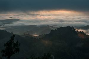 BIB: 
                            <button type="button" onclick="openModal(26510698)" class="btn btn-primary btn-sm float-right btn-popup" data-toggle="modal" data-target=".modal-high-quality">
                        <i class="fas fa-shopping-cart"></i> Add to Cart
                    </button>
                                            <button type="button" onclick="isThisMe(26510698, true)" class="btn btn-success btn-sm float-right btn-popup btn-isme hidden" data-toggle="tooltip" data-placement="bottom" title="นี่คือรูปของคุณใช่ไหม คลิกที่นี่เพื่อเอาเข้าอัลบั้ม">
                        <i class="fas fa-plus"></i> Add to album
                    </button>
                    <button type="button" onclick="isThisMe(26510698, false)" class="btn btn-warning btn-sm float-right btn-popup btn-isnotme hidden">
                        <i class="fas fa-ban"></i> Remove from album
                    </button>