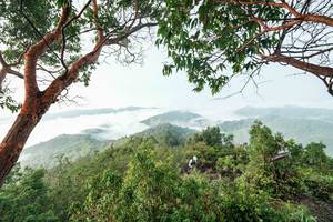 BIB: 
                            <button type="button" onclick="openModal(26510896)" class="btn btn-primary btn-sm float-right btn-popup" data-toggle="modal" data-target=".modal-high-quality">
                        <i class="fas fa-shopping-cart"></i> Add to Cart
                    </button>
                                            <button type="button" onclick="isThisMe(26510896, true)" class="btn btn-success btn-sm float-right btn-popup btn-isme hidden" data-toggle="tooltip" data-placement="bottom" title="นี่คือรูปของคุณใช่ไหม คลิกที่นี่เพื่อเอาเข้าอัลบั้ม">
                        <i class="fas fa-plus"></i> Add to album
                    </button>
                    <button type="button" onclick="isThisMe(26510896, false)" class="btn btn-warning btn-sm float-right btn-popup btn-isnotme hidden">
                        <i class="fas fa-ban"></i> Remove from album
                    </button>