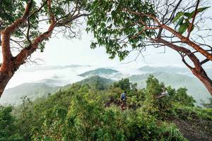 BIB: 
                            <button type="button" onclick="openModal(26510873)" class="btn btn-primary btn-sm float-right btn-popup" data-toggle="modal" data-target=".modal-high-quality">
                        <i class="fas fa-shopping-cart"></i> Add to Cart
                    </button>
                                            <button type="button" onclick="isThisMe(26510873, true)" class="btn btn-success btn-sm float-right btn-popup btn-isme hidden" data-toggle="tooltip" data-placement="bottom" title="นี่คือรูปของคุณใช่ไหม คลิกที่นี่เพื่อเอาเข้าอัลบั้ม">
                        <i class="fas fa-plus"></i> Add to album
                    </button>
                    <button type="button" onclick="isThisMe(26510873, false)" class="btn btn-warning btn-sm float-right btn-popup btn-isnotme hidden">
                        <i class="fas fa-ban"></i> Remove from album
                    </button>