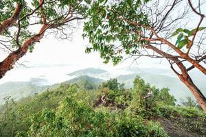 BIB: 
                            <button type="button" onclick="openModal(26510826)" class="btn btn-primary btn-sm float-right btn-popup" data-toggle="modal" data-target=".modal-high-quality">
                        <i class="fas fa-shopping-cart"></i> Add to Cart
                    </button>
                                            <button type="button" onclick="isThisMe(26510826, true)" class="btn btn-success btn-sm float-right btn-popup btn-isme hidden" data-toggle="tooltip" data-placement="bottom" title="นี่คือรูปของคุณใช่ไหม คลิกที่นี่เพื่อเอาเข้าอัลบั้ม">
                        <i class="fas fa-plus"></i> Add to album
                    </button>
                    <button type="button" onclick="isThisMe(26510826, false)" class="btn btn-warning btn-sm float-right btn-popup btn-isnotme hidden">
                        <i class="fas fa-ban"></i> Remove from album
                    </button>