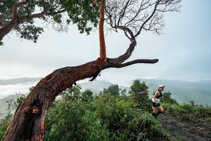 BIB: 
                            <button type="button" onclick="openModal(26510723)" class="btn btn-primary btn-sm float-right btn-popup" data-toggle="modal" data-target=".modal-high-quality">
                        <i class="fas fa-shopping-cart"></i> Add to Cart
                    </button>
                                            <button type="button" onclick="isThisMe(26510723, true)" class="btn btn-success btn-sm float-right btn-popup btn-isme hidden" data-toggle="tooltip" data-placement="bottom" title="นี่คือรูปของคุณใช่ไหม คลิกที่นี่เพื่อเอาเข้าอัลบั้ม">
                        <i class="fas fa-plus"></i> Add to album
                    </button>
                    <button type="button" onclick="isThisMe(26510723, false)" class="btn btn-warning btn-sm float-right btn-popup btn-isnotme hidden">
                        <i class="fas fa-ban"></i> Remove from album
                    </button>