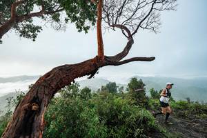 BIB: 
                            <button type="button" onclick="openModal(26510722)" class="btn btn-primary btn-sm float-right btn-popup" data-toggle="modal" data-target=".modal-high-quality">
                        <i class="fas fa-shopping-cart"></i> Add to Cart
                    </button>
                                            <button type="button" onclick="isThisMe(26510722, true)" class="btn btn-success btn-sm float-right btn-popup btn-isme hidden" data-toggle="tooltip" data-placement="bottom" title="นี่คือรูปของคุณใช่ไหม คลิกที่นี่เพื่อเอาเข้าอัลบั้ม">
                        <i class="fas fa-plus"></i> Add to album
                    </button>
                    <button type="button" onclick="isThisMe(26510722, false)" class="btn btn-warning btn-sm float-right btn-popup btn-isnotme hidden">
                        <i class="fas fa-ban"></i> Remove from album
                    </button>