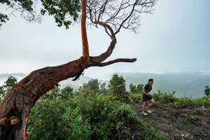 BIB: 
                            <button type="button" onclick="openModal(26510738)" class="btn btn-primary btn-sm float-right btn-popup" data-toggle="modal" data-target=".modal-high-quality">
                        <i class="fas fa-shopping-cart"></i> Add to Cart
                    </button>
                                            <button type="button" onclick="isThisMe(26510738, true)" class="btn btn-success btn-sm float-right btn-popup btn-isme hidden" data-toggle="tooltip" data-placement="bottom" title="นี่คือรูปของคุณใช่ไหม คลิกที่นี่เพื่อเอาเข้าอัลบั้ม">
                        <i class="fas fa-plus"></i> Add to album
                    </button>
                    <button type="button" onclick="isThisMe(26510738, false)" class="btn btn-warning btn-sm float-right btn-popup btn-isnotme hidden">
                        <i class="fas fa-ban"></i> Remove from album
                    </button>