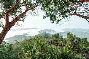 BIB: 
                            <button type="button" onclick="openModal(26510887)" class="btn btn-primary btn-sm float-right btn-popup" data-toggle="modal" data-target=".modal-high-quality">
                        <i class="fas fa-shopping-cart"></i> Add to Cart
                    </button>
                                            <button type="button" onclick="isThisMe(26510887, true)" class="btn btn-success btn-sm float-right btn-popup btn-isme hidden" data-toggle="tooltip" data-placement="bottom" title="นี่คือรูปของคุณใช่ไหม คลิกที่นี่เพื่อเอาเข้าอัลบั้ม">
                        <i class="fas fa-plus"></i> Add to album
                    </button>
                    <button type="button" onclick="isThisMe(26510887, false)" class="btn btn-warning btn-sm float-right btn-popup btn-isnotme hidden">
                        <i class="fas fa-ban"></i> Remove from album
                    </button>