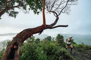 BIB: 
                            <button type="button" onclick="openModal(26510720)" class="btn btn-primary btn-sm float-right btn-popup" data-toggle="modal" data-target=".modal-high-quality">
                        <i class="fas fa-shopping-cart"></i> Add to Cart
                    </button>
                                            <button type="button" onclick="isThisMe(26510720, true)" class="btn btn-success btn-sm float-right btn-popup btn-isme hidden" data-toggle="tooltip" data-placement="bottom" title="นี่คือรูปของคุณใช่ไหม คลิกที่นี่เพื่อเอาเข้าอัลบั้ม">
                        <i class="fas fa-plus"></i> Add to album
                    </button>
                    <button type="button" onclick="isThisMe(26510720, false)" class="btn btn-warning btn-sm float-right btn-popup btn-isnotme hidden">
                        <i class="fas fa-ban"></i> Remove from album
                    </button>