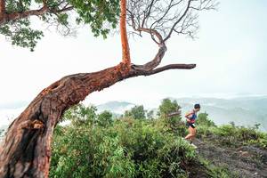 BIB: 
                            <button type="button" onclick="openModal(26510804)" class="btn btn-primary btn-sm float-right btn-popup" data-toggle="modal" data-target=".modal-high-quality">
                        <i class="fas fa-shopping-cart"></i> Add to Cart
                    </button>
                                            <button type="button" onclick="isThisMe(26510804, true)" class="btn btn-success btn-sm float-right btn-popup btn-isme hidden" data-toggle="tooltip" data-placement="bottom" title="นี่คือรูปของคุณใช่ไหม คลิกที่นี่เพื่อเอาเข้าอัลบั้ม">
                        <i class="fas fa-plus"></i> Add to album
                    </button>
                    <button type="button" onclick="isThisMe(26510804, false)" class="btn btn-warning btn-sm float-right btn-popup btn-isnotme hidden">
                        <i class="fas fa-ban"></i> Remove from album
                    </button>