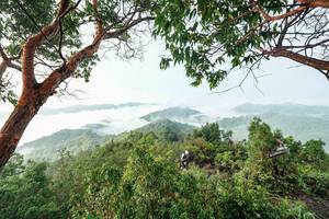 BIB: 
                            <button type="button" onclick="openModal(26510891)" class="btn btn-primary btn-sm float-right btn-popup" data-toggle="modal" data-target=".modal-high-quality">
                        <i class="fas fa-shopping-cart"></i> Add to Cart
                    </button>
                                            <button type="button" onclick="isThisMe(26510891, true)" class="btn btn-success btn-sm float-right btn-popup btn-isme hidden" data-toggle="tooltip" data-placement="bottom" title="นี่คือรูปของคุณใช่ไหม คลิกที่นี่เพื่อเอาเข้าอัลบั้ม">
                        <i class="fas fa-plus"></i> Add to album
                    </button>
                    <button type="button" onclick="isThisMe(26510891, false)" class="btn btn-warning btn-sm float-right btn-popup btn-isnotme hidden">
                        <i class="fas fa-ban"></i> Remove from album
                    </button>