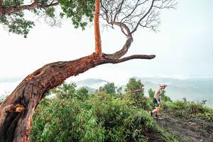 BIB: 
                            <button type="button" onclick="openModal(26510799)" class="btn btn-primary btn-sm float-right btn-popup" data-toggle="modal" data-target=".modal-high-quality">
                        <i class="fas fa-shopping-cart"></i> Add to Cart
                    </button>
                                            <button type="button" onclick="isThisMe(26510799, true)" class="btn btn-success btn-sm float-right btn-popup btn-isme hidden" data-toggle="tooltip" data-placement="bottom" title="นี่คือรูปของคุณใช่ไหม คลิกที่นี่เพื่อเอาเข้าอัลบั้ม">
                        <i class="fas fa-plus"></i> Add to album
                    </button>
                    <button type="button" onclick="isThisMe(26510799, false)" class="btn btn-warning btn-sm float-right btn-popup btn-isnotme hidden">
                        <i class="fas fa-ban"></i> Remove from album
                    </button>