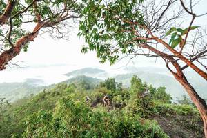 BIB: 
                            <button type="button" onclick="openModal(26510834)" class="btn btn-primary btn-sm float-right btn-popup" data-toggle="modal" data-target=".modal-high-quality">
                        <i class="fas fa-shopping-cart"></i> Add to Cart
                    </button>
                                            <button type="button" onclick="isThisMe(26510834, true)" class="btn btn-success btn-sm float-right btn-popup btn-isme hidden" data-toggle="tooltip" data-placement="bottom" title="นี่คือรูปของคุณใช่ไหม คลิกที่นี่เพื่อเอาเข้าอัลบั้ม">
                        <i class="fas fa-plus"></i> Add to album
                    </button>
                    <button type="button" onclick="isThisMe(26510834, false)" class="btn btn-warning btn-sm float-right btn-popup btn-isnotme hidden">
                        <i class="fas fa-ban"></i> Remove from album
                    </button>