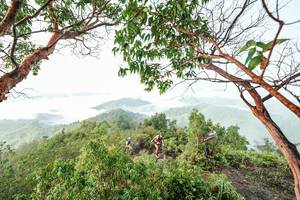 BIB: 
                            <button type="button" onclick="openModal(26510836)" class="btn btn-primary btn-sm float-right btn-popup" data-toggle="modal" data-target=".modal-high-quality">
                        <i class="fas fa-shopping-cart"></i> Add to Cart
                    </button>
                                            <button type="button" onclick="isThisMe(26510836, true)" class="btn btn-success btn-sm float-right btn-popup btn-isme hidden" data-toggle="tooltip" data-placement="bottom" title="นี่คือรูปของคุณใช่ไหม คลิกที่นี่เพื่อเอาเข้าอัลบั้ม">
                        <i class="fas fa-plus"></i> Add to album
                    </button>
                    <button type="button" onclick="isThisMe(26510836, false)" class="btn btn-warning btn-sm float-right btn-popup btn-isnotme hidden">
                        <i class="fas fa-ban"></i> Remove from album
                    </button>