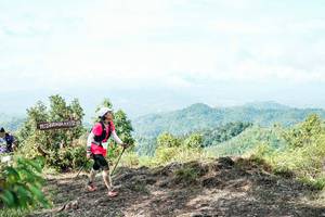 BIB: 
                            <button type="button" onclick="openModal(26521446)" class="btn btn-primary btn-sm float-right btn-popup" data-toggle="modal" data-target=".modal-high-quality">
                        <i class="fas fa-shopping-cart"></i> Add to Cart
                    </button>
                                            <button type="button" onclick="isThisMe(26521446, true)" class="btn btn-success btn-sm float-right btn-popup btn-isme hidden" data-toggle="tooltip" data-placement="bottom" title="นี่คือรูปของคุณใช่ไหม คลิกที่นี่เพื่อเอาเข้าอัลบั้ม">
                        <i class="fas fa-plus"></i> Add to album
                    </button>
                    <button type="button" onclick="isThisMe(26521446, false)" class="btn btn-warning btn-sm float-right btn-popup btn-isnotme hidden">
                        <i class="fas fa-ban"></i> Remove from album
                    </button>