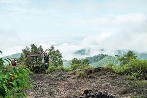 BIB: 
                            <button type="button" onclick="openModal(26513508)" class="btn btn-primary btn-sm float-right btn-popup" data-toggle="modal" data-target=".modal-high-quality">
                        <i class="fas fa-shopping-cart"></i> Add to Cart
                    </button>
                                            <button type="button" onclick="isThisMe(26513508, true)" class="btn btn-success btn-sm float-right btn-popup btn-isme hidden" data-toggle="tooltip" data-placement="bottom" title="นี่คือรูปของคุณใช่ไหม คลิกที่นี่เพื่อเอาเข้าอัลบั้ม">
                        <i class="fas fa-plus"></i> Add to album
                    </button>
                    <button type="button" onclick="isThisMe(26513508, false)" class="btn btn-warning btn-sm float-right btn-popup btn-isnotme hidden">
                        <i class="fas fa-ban"></i> Remove from album
                    </button>