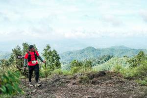 BIB: 
                            <button type="button" onclick="openModal(26521884)" class="btn btn-primary btn-sm float-right btn-popup" data-toggle="modal" data-target=".modal-high-quality">
                        <i class="fas fa-shopping-cart"></i> Add to Cart
                    </button>
                                            <button type="button" onclick="isThisMe(26521884, true)" class="btn btn-success btn-sm float-right btn-popup btn-isme hidden" data-toggle="tooltip" data-placement="bottom" title="นี่คือรูปของคุณใช่ไหม คลิกที่นี่เพื่อเอาเข้าอัลบั้ม">
                        <i class="fas fa-plus"></i> Add to album
                    </button>
                    <button type="button" onclick="isThisMe(26521884, false)" class="btn btn-warning btn-sm float-right btn-popup btn-isnotme hidden">
                        <i class="fas fa-ban"></i> Remove from album
                    </button>