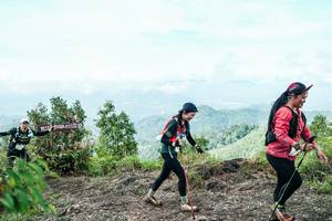 BIB: 
                            <button type="button" onclick="openModal(26521174)" class="btn btn-primary btn-sm float-right btn-popup" data-toggle="modal" data-target=".modal-high-quality">
                        <i class="fas fa-shopping-cart"></i> Add to Cart
                    </button>
                                            <button type="button" onclick="isThisMe(26521174, true)" class="btn btn-success btn-sm float-right btn-popup btn-isme hidden" data-toggle="tooltip" data-placement="bottom" title="นี่คือรูปของคุณใช่ไหม คลิกที่นี่เพื่อเอาเข้าอัลบั้ม">
                        <i class="fas fa-plus"></i> Add to album
                    </button>
                    <button type="button" onclick="isThisMe(26521174, false)" class="btn btn-warning btn-sm float-right btn-popup btn-isnotme hidden">
                        <i class="fas fa-ban"></i> Remove from album
                    </button>