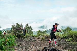 BIB: 
                            <button type="button" onclick="openModal(26513506)" class="btn btn-primary btn-sm float-right btn-popup" data-toggle="modal" data-target=".modal-high-quality">
                        <i class="fas fa-shopping-cart"></i> Add to Cart
                    </button>
                                            <button type="button" onclick="isThisMe(26513506, true)" class="btn btn-success btn-sm float-right btn-popup btn-isme hidden" data-toggle="tooltip" data-placement="bottom" title="นี่คือรูปของคุณใช่ไหม คลิกที่นี่เพื่อเอาเข้าอัลบั้ม">
                        <i class="fas fa-plus"></i> Add to album
                    </button>
                    <button type="button" onclick="isThisMe(26513506, false)" class="btn btn-warning btn-sm float-right btn-popup btn-isnotme hidden">
                        <i class="fas fa-ban"></i> Remove from album
                    </button>