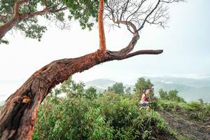 BIB: 
                            <button type="button" onclick="openModal(26510764)" class="btn btn-primary btn-sm float-right btn-popup" data-toggle="modal" data-target=".modal-high-quality">
                        <i class="fas fa-shopping-cart"></i> Add to Cart
                    </button>
                                            <button type="button" onclick="isThisMe(26510764, true)" class="btn btn-success btn-sm float-right btn-popup btn-isme hidden" data-toggle="tooltip" data-placement="bottom" title="นี่คือรูปของคุณใช่ไหม คลิกที่นี่เพื่อเอาเข้าอัลบั้ม">
                        <i class="fas fa-plus"></i> Add to album
                    </button>
                    <button type="button" onclick="isThisMe(26510764, false)" class="btn btn-warning btn-sm float-right btn-popup btn-isnotme hidden">
                        <i class="fas fa-ban"></i> Remove from album
                    </button>