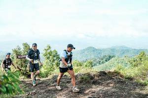 BIB: 
                            <button type="button" onclick="openModal(26521499)" class="btn btn-primary btn-sm float-right btn-popup" data-toggle="modal" data-target=".modal-high-quality">
                        <i class="fas fa-shopping-cart"></i> Add to Cart
                    </button>
                                            <button type="button" onclick="isThisMe(26521499, true)" class="btn btn-success btn-sm float-right btn-popup btn-isme hidden" data-toggle="tooltip" data-placement="bottom" title="นี่คือรูปของคุณใช่ไหม คลิกที่นี่เพื่อเอาเข้าอัลบั้ม">
                        <i class="fas fa-plus"></i> Add to album
                    </button>
                    <button type="button" onclick="isThisMe(26521499, false)" class="btn btn-warning btn-sm float-right btn-popup btn-isnotme hidden">
                        <i class="fas fa-ban"></i> Remove from album
                    </button>