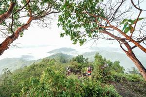 BIB: 
                            <button type="button" onclick="openModal(26510846)" class="btn btn-primary btn-sm float-right btn-popup" data-toggle="modal" data-target=".modal-high-quality">
                        <i class="fas fa-shopping-cart"></i> Add to Cart
                    </button>
                                            <button type="button" onclick="isThisMe(26510846, true)" class="btn btn-success btn-sm float-right btn-popup btn-isme hidden" data-toggle="tooltip" data-placement="bottom" title="นี่คือรูปของคุณใช่ไหม คลิกที่นี่เพื่อเอาเข้าอัลบั้ม">
                        <i class="fas fa-plus"></i> Add to album
                    </button>
                    <button type="button" onclick="isThisMe(26510846, false)" class="btn btn-warning btn-sm float-right btn-popup btn-isnotme hidden">
                        <i class="fas fa-ban"></i> Remove from album
                    </button>