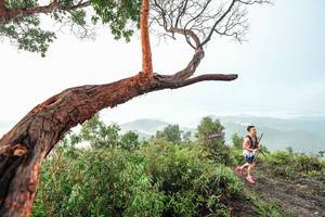 BIB: 
                            <button type="button" onclick="openModal(26510773)" class="btn btn-primary btn-sm float-right btn-popup" data-toggle="modal" data-target=".modal-high-quality">
                        <i class="fas fa-shopping-cart"></i> Add to Cart
                    </button>
                                            <button type="button" onclick="isThisMe(26510773, true)" class="btn btn-success btn-sm float-right btn-popup btn-isme hidden" data-toggle="tooltip" data-placement="bottom" title="นี่คือรูปของคุณใช่ไหม คลิกที่นี่เพื่อเอาเข้าอัลบั้ม">
                        <i class="fas fa-plus"></i> Add to album
                    </button>
                    <button type="button" onclick="isThisMe(26510773, false)" class="btn btn-warning btn-sm float-right btn-popup btn-isnotme hidden">
                        <i class="fas fa-ban"></i> Remove from album
                    </button>