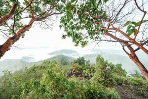 BIB: 
                            <button type="button" onclick="openModal(26510825)" class="btn btn-primary btn-sm float-right btn-popup" data-toggle="modal" data-target=".modal-high-quality">
                        <i class="fas fa-shopping-cart"></i> Add to Cart
                    </button>
                                            <button type="button" onclick="isThisMe(26510825, true)" class="btn btn-success btn-sm float-right btn-popup btn-isme hidden" data-toggle="tooltip" data-placement="bottom" title="นี่คือรูปของคุณใช่ไหม คลิกที่นี่เพื่อเอาเข้าอัลบั้ม">
                        <i class="fas fa-plus"></i> Add to album
                    </button>
                    <button type="button" onclick="isThisMe(26510825, false)" class="btn btn-warning btn-sm float-right btn-popup btn-isnotme hidden">
                        <i class="fas fa-ban"></i> Remove from album
                    </button>