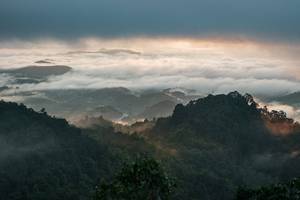 BIB: 
                            <button type="button" onclick="openModal(26510703)" class="btn btn-primary btn-sm float-right btn-popup" data-toggle="modal" data-target=".modal-high-quality">
                        <i class="fas fa-shopping-cart"></i> Add to Cart
                    </button>
                                            <button type="button" onclick="isThisMe(26510703, true)" class="btn btn-success btn-sm float-right btn-popup btn-isme hidden" data-toggle="tooltip" data-placement="bottom" title="นี่คือรูปของคุณใช่ไหม คลิกที่นี่เพื่อเอาเข้าอัลบั้ม">
                        <i class="fas fa-plus"></i> Add to album
                    </button>
                    <button type="button" onclick="isThisMe(26510703, false)" class="btn btn-warning btn-sm float-right btn-popup btn-isnotme hidden">
                        <i class="fas fa-ban"></i> Remove from album
                    </button>