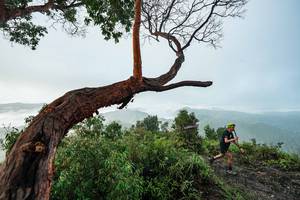 BIB: 
                            <button type="button" onclick="openModal(26510729)" class="btn btn-primary btn-sm float-right btn-popup" data-toggle="modal" data-target=".modal-high-quality">
                        <i class="fas fa-shopping-cart"></i> Add to Cart
                    </button>
                                            <button type="button" onclick="isThisMe(26510729, true)" class="btn btn-success btn-sm float-right btn-popup btn-isme hidden" data-toggle="tooltip" data-placement="bottom" title="นี่คือรูปของคุณใช่ไหม คลิกที่นี่เพื่อเอาเข้าอัลบั้ม">
                        <i class="fas fa-plus"></i> Add to album
                    </button>
                    <button type="button" onclick="isThisMe(26510729, false)" class="btn btn-warning btn-sm float-right btn-popup btn-isnotme hidden">
                        <i class="fas fa-ban"></i> Remove from album
                    </button>