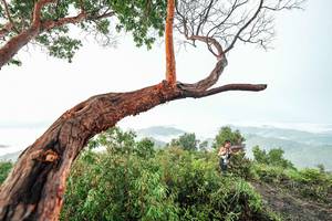 BIB: 
                            <button type="button" onclick="openModal(26510770)" class="btn btn-primary btn-sm float-right btn-popup" data-toggle="modal" data-target=".modal-high-quality">
                        <i class="fas fa-shopping-cart"></i> Add to Cart
                    </button>
                                            <button type="button" onclick="isThisMe(26510770, true)" class="btn btn-success btn-sm float-right btn-popup btn-isme hidden" data-toggle="tooltip" data-placement="bottom" title="นี่คือรูปของคุณใช่ไหม คลิกที่นี่เพื่อเอาเข้าอัลบั้ม">
                        <i class="fas fa-plus"></i> Add to album
                    </button>
                    <button type="button" onclick="isThisMe(26510770, false)" class="btn btn-warning btn-sm float-right btn-popup btn-isnotme hidden">
                        <i class="fas fa-ban"></i> Remove from album
                    </button>