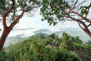 BIB: 
                            <button type="button" onclick="openModal(26510911)" class="btn btn-primary btn-sm float-right btn-popup" data-toggle="modal" data-target=".modal-high-quality">
                        <i class="fas fa-shopping-cart"></i> Add to Cart
                    </button>
                                            <button type="button" onclick="isThisMe(26510911, true)" class="btn btn-success btn-sm float-right btn-popup btn-isme hidden" data-toggle="tooltip" data-placement="bottom" title="นี่คือรูปของคุณใช่ไหม คลิกที่นี่เพื่อเอาเข้าอัลบั้ม">
                        <i class="fas fa-plus"></i> Add to album
                    </button>
                    <button type="button" onclick="isThisMe(26510911, false)" class="btn btn-warning btn-sm float-right btn-popup btn-isnotme hidden">
                        <i class="fas fa-ban"></i> Remove from album
                    </button>